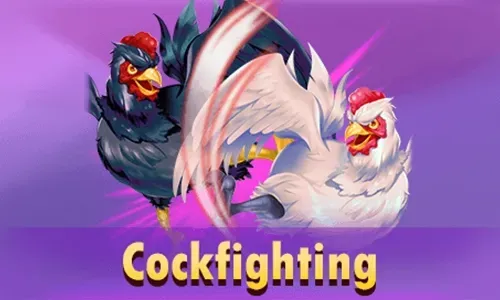 cockfighting